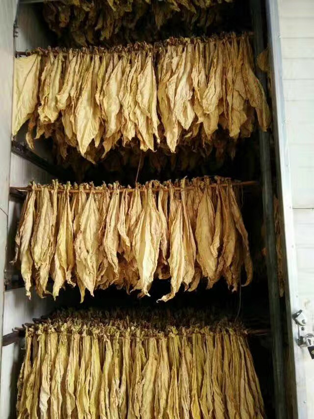 電磁加熱煙草烘干設(shè)備